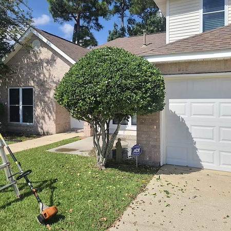 Bush Trimming vs. Shrub Trimming: What Your Ocean Springs Landscape Really Needs