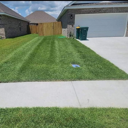 How Often Should You Mow Your Lawn in Ocean Springs?