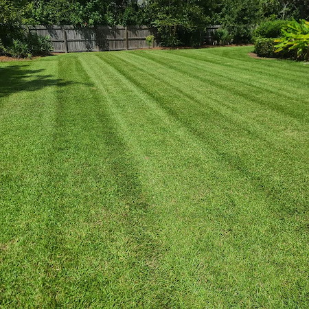 Weekly vs. Bi-Weekly Lawn Mowing: What Saves Money Without Hurting Your Yard?
