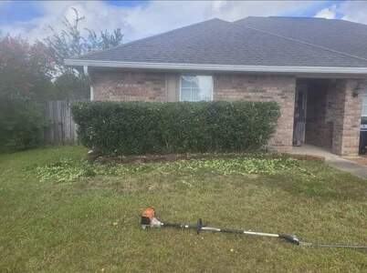 Bush trimming in Ocean Springs  (20)