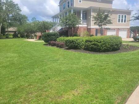 Bush trimming in Ocean Springs  (4)