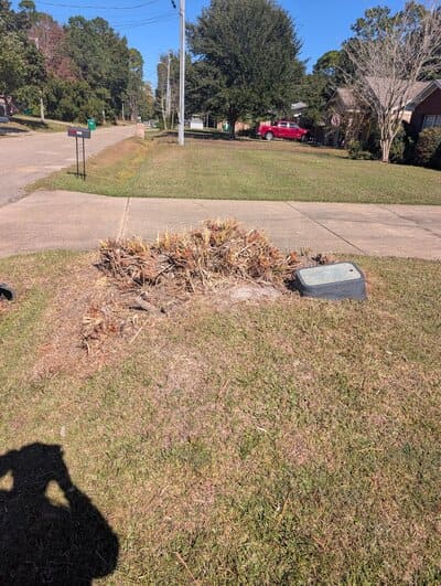 Bush Trimming in Ocean Springs, Ms (1)
