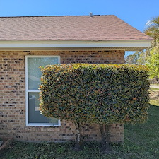 Bush-trimming-in-Ocean-Springs-22 1