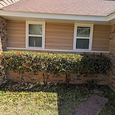 Bush-trimming-in-Ocean-Springs-22 0