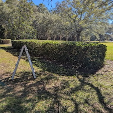 Bush-trimming-in-Ocean-Springs-23 0