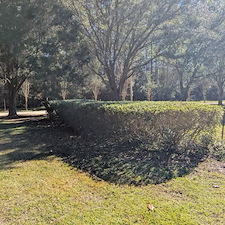 Bush-trimming-in-Ocean-Springs-23 5