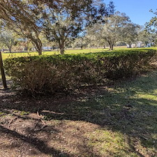 Bush-trimming-in-Ocean-Springs-23 3