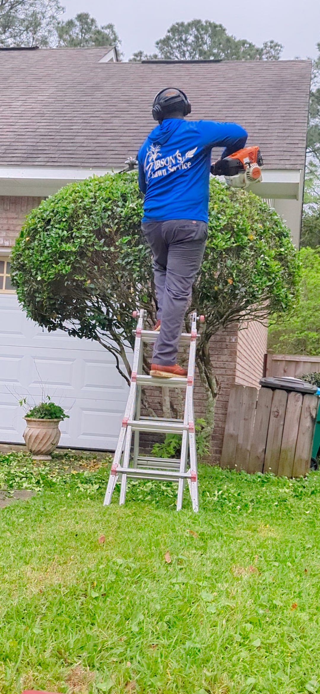 Bush trimming in Ocean Springs (24)
