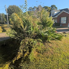 Bush-Trimming-in-Ocean-Springs-Ms-1 2