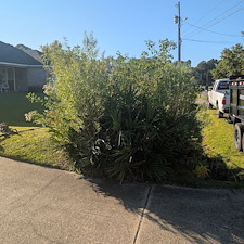 Bush-Trimming-in-Ocean-Springs-Ms-1 1