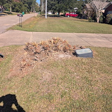 Bush-Trimming-in-Ocean-Springs-Ms-1 3