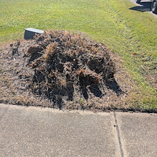 Bush-Trimming-in-Ocean-Springs-Ms-1 0