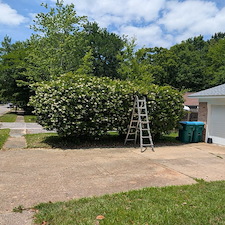 Bush-Trimming-in-Ocean-Springs-Ms-2 4