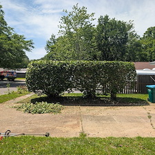 Bush-Trimming-in-Ocean-Springs-Ms-2 2