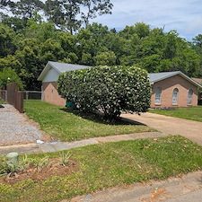 Bush-Trimming-in-Ocean-Springs-Ms-2 1