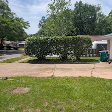 Bush-Trimming-in-Ocean-Springs-Ms-2 0