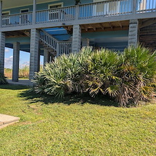 Bush-Trimming-removal-in-Ocean-Springs-Ms 1