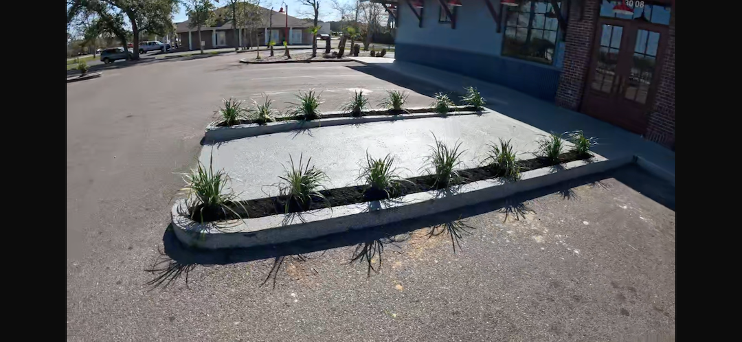Landscaping Ocean Springs, Ms (3)